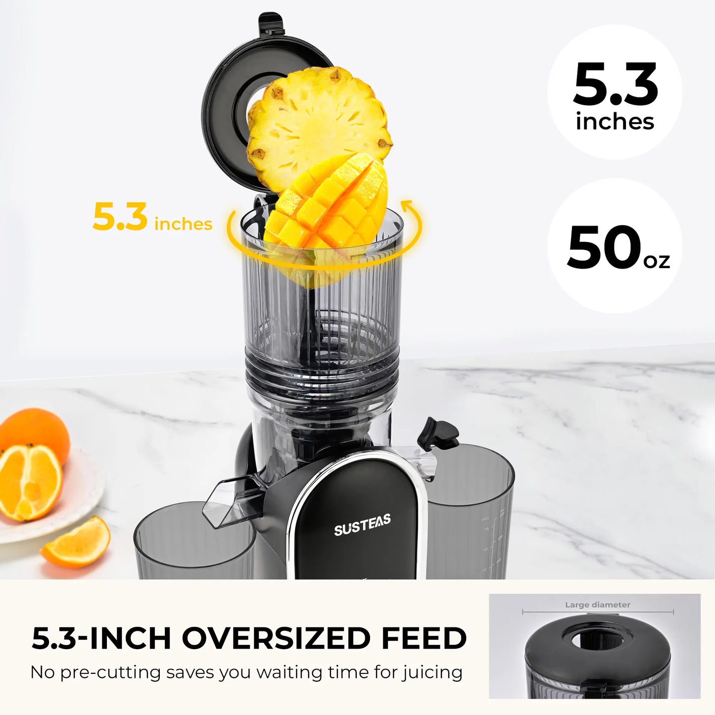 SUSTEAS Cold Press Juicer, 5.3 Inch Large Feed Opening, Slow Masticator Chute, For Whole Vegetables and Fruits, High Yield, Easy to Clean Springtok Steel
