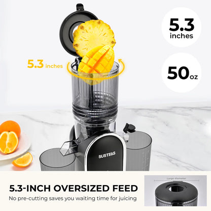 SUSTEAS Cold Press Juicer, 5.3 Inch Large Feed Opening, Slow Masticator Chute, For Whole Vegetables and Fruits, High Yield, Easy to Clean Springtok Steel