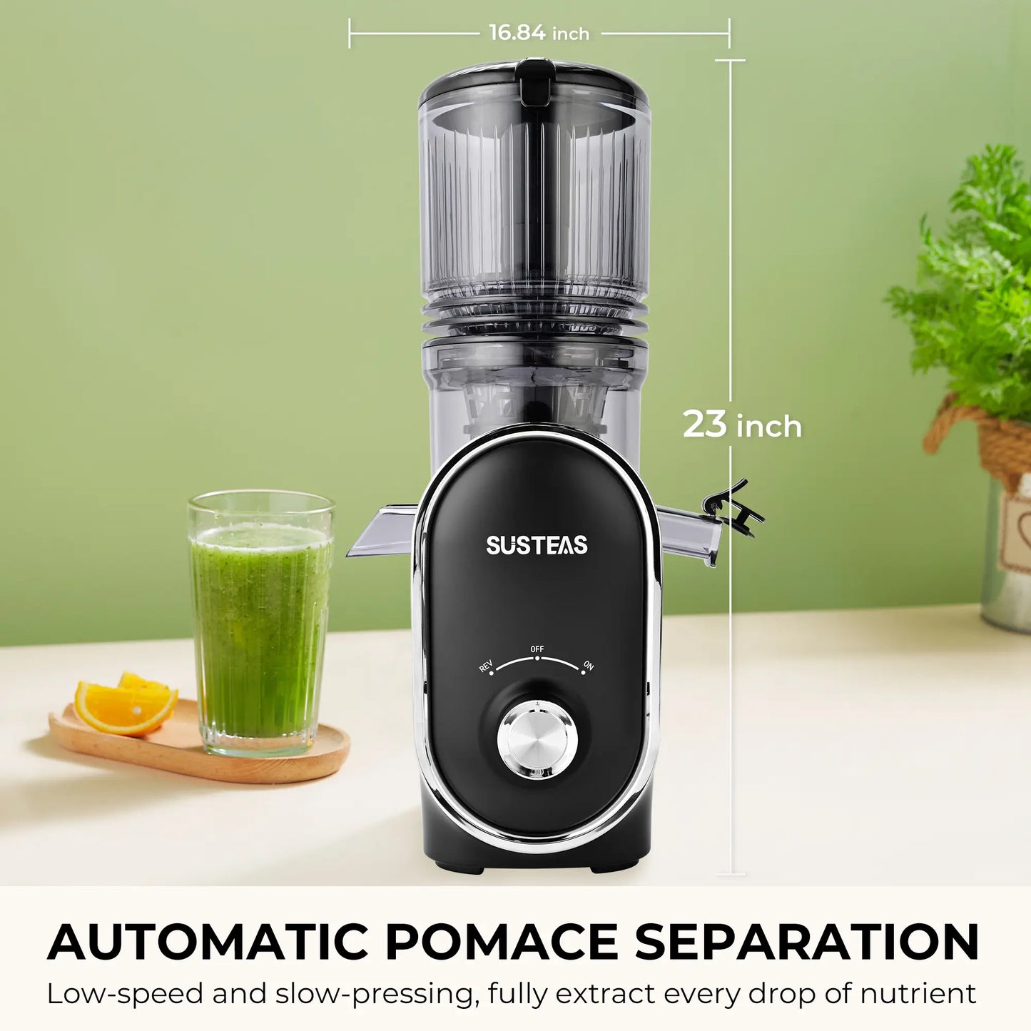 SUSTEAS Cold Press Juicer, 5.3 Inch Large Feed Opening, Slow Masticator Chute, For Whole Vegetables and Fruits, High Yield, Easy to Clean Springtok Steel